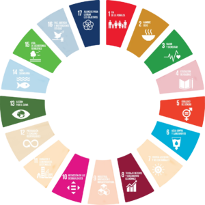 SDGs